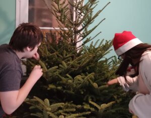Read more about the article Vízkereszt napja jön, a karácsonyfa megy…